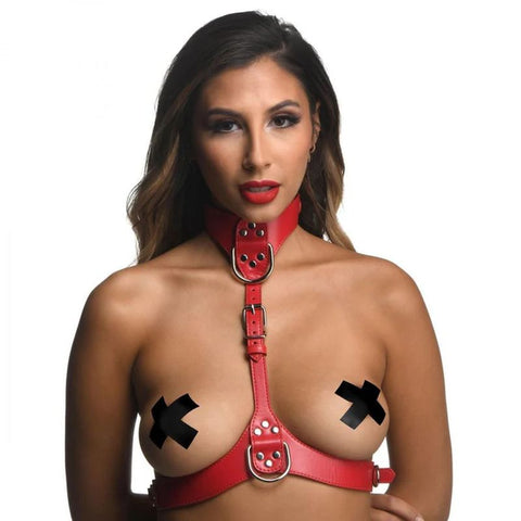 Red Female Chest Harness Medium Large Womens Harnesses