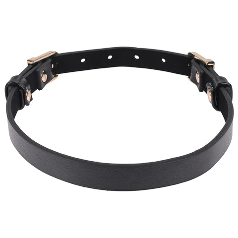 Sex and Mischief Double Buckle Day Collar > Bondage Gear > Collars & Leashes