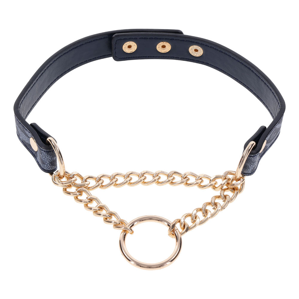 Sex & Mischief Cougar Day Collar Navy and Gold with Chain and Ring Size 38-43 cm Blue > Bondage Gear > Collars
