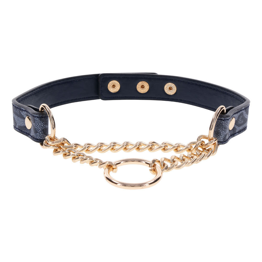 Sex & Mischief Cougar Day Collar Navy and Gold with Chain and Ring Size 38-43 cm > Bondage Gear > Collars