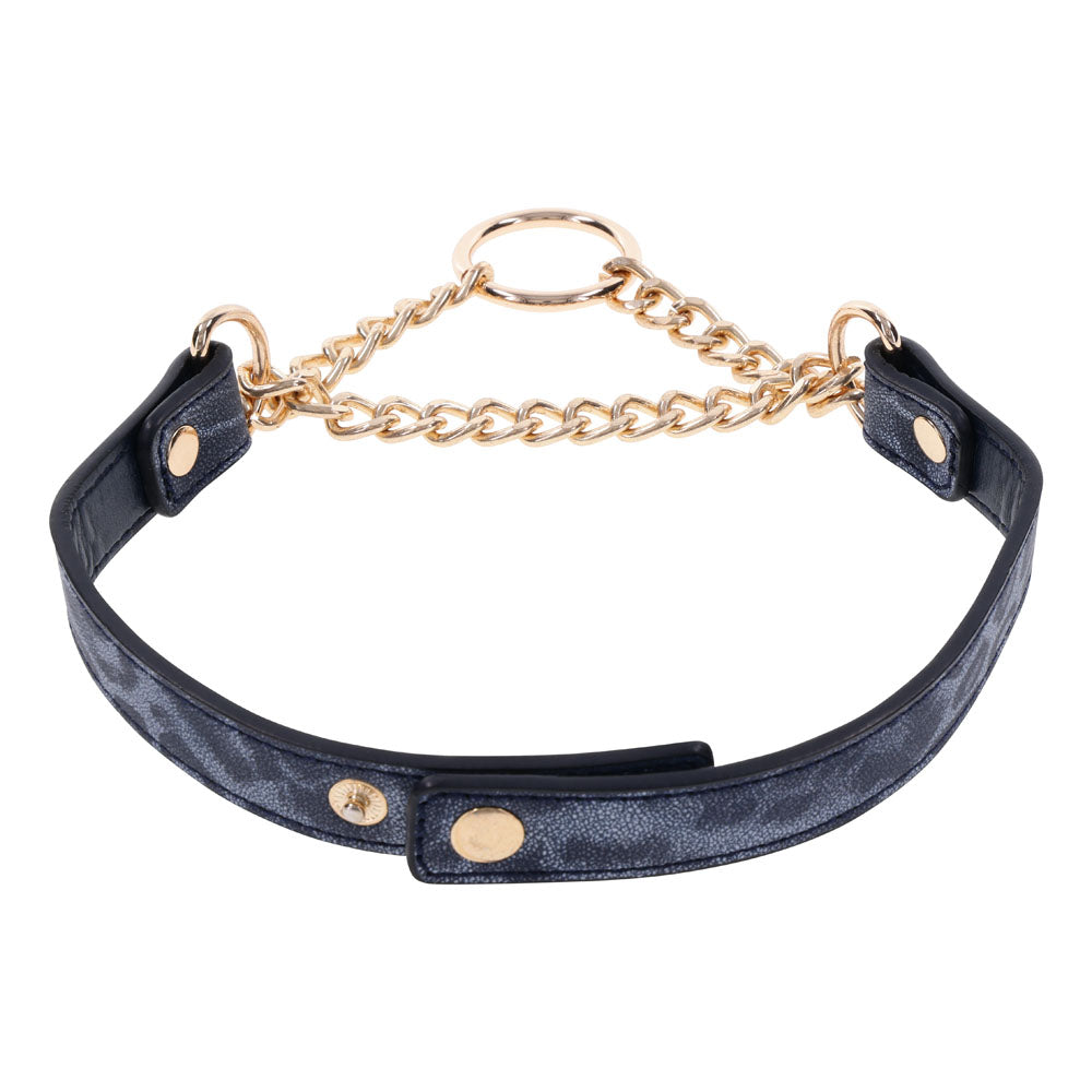 Sex & Mischief Cougar Day Collar Navy and Gold with Chain and Ring Size 38-43 cm > Bondage Gear > Collars