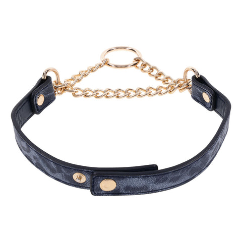Sex & Mischief Cougar Day Collar Navy and Gold with Chain and Ring Size 38-43 cm > Bondage Gear > Collars