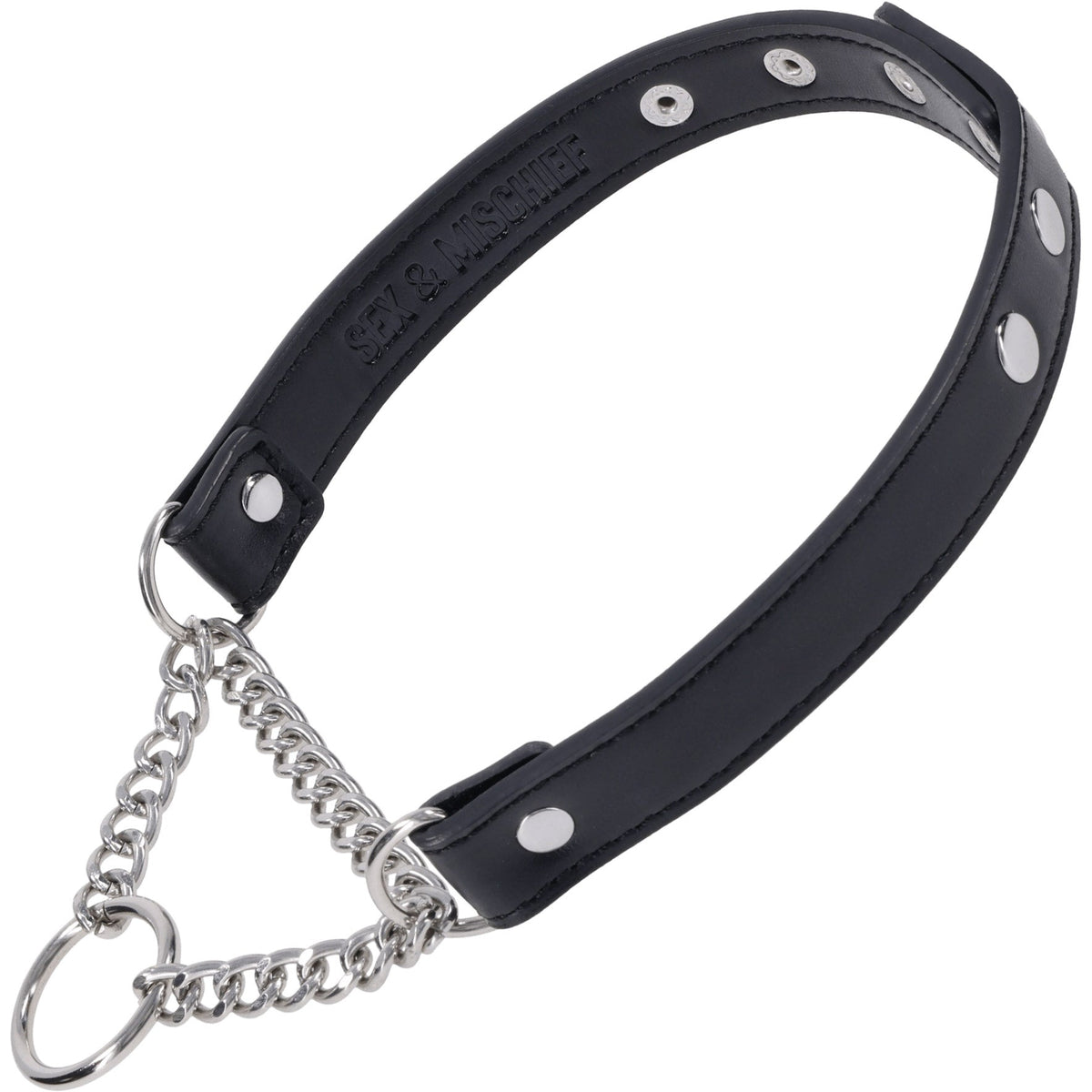 Shadow Day Collar – Faux Leather Collar with Silver Hardware > Bondage Gear > Collars & Leashes