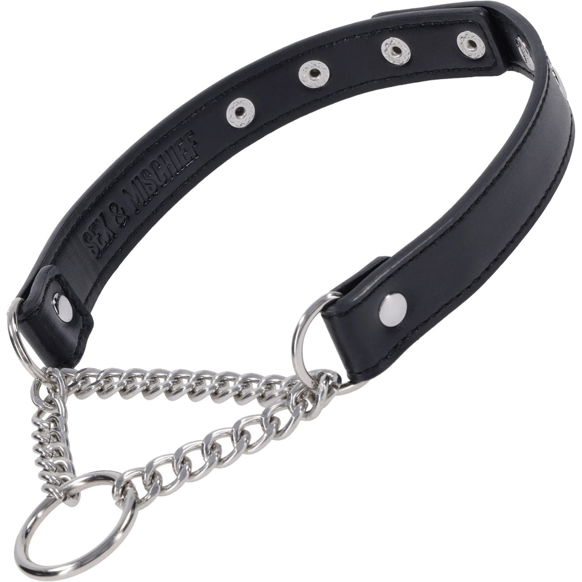 Shadow Day Collar – Faux Leather Collar with Silver Hardware > Bondage Gear > Collars & Leashes