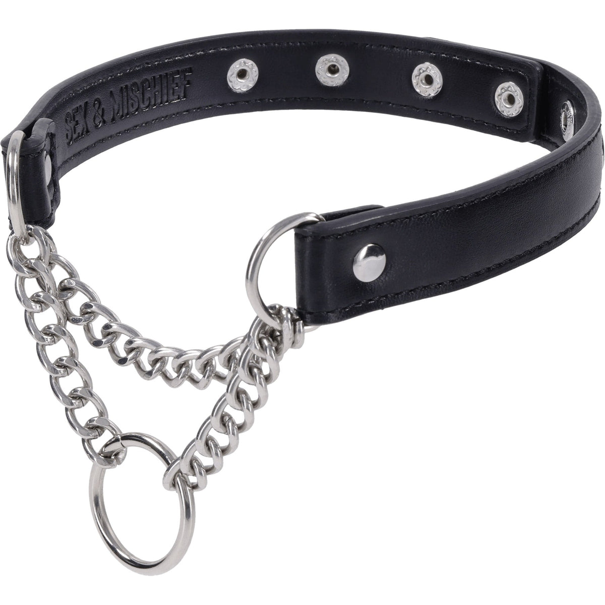 Shadow Day Collar – Faux Leather Collar with Silver Hardware > Bondage Gear > Collars & Leashes