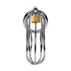 Silver Metal Birdcage Cock Cage Chastity Device > Bondage Gear > Male Chastity