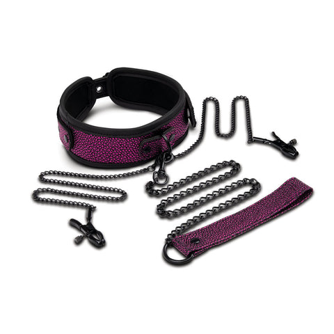 WhipSmart Dragons Lair Collar Leash and Nipple Clips Set BONDAGE-TOYS