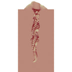 XKIN PinUp Girls - Bettie Blowkiss - Tan 12 cm Vagina Stroker > Sex Toys For Men > Masturbators > Manual