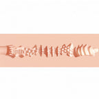 XKIN Secret Affairs Nicolette – 14 cm Vagina Stroker > Sex Toys For Men > Masturbators > Manual