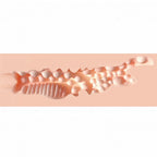 XKIN Amber Blowfile – 13.5 cm Vagina Stroker > Sex Toys For Men > Masturbators > Manual