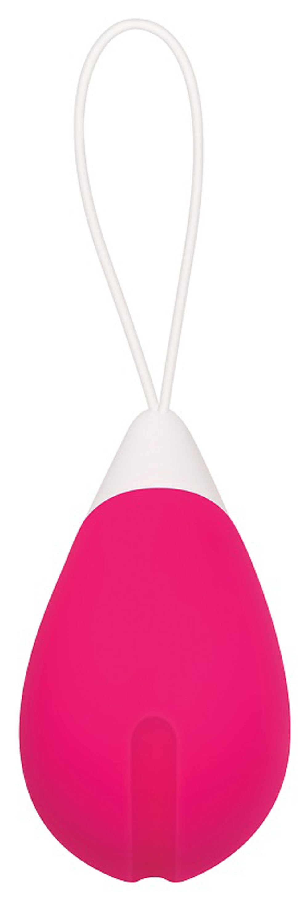 Evolved Remote Control Egg 2.5 Inch Vibrator > Sex Toys For Ladies > Vibrating Eggs