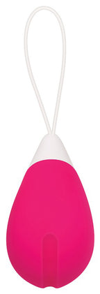 Evolved Remote Control Egg 2.5 Inch Vibrator > Sex Toys For Ladies > Vibrating Eggs