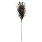 Taboom Dona Peacock Tickler – Elegant Feather Sensation Toy > Bondage Gear > Ticklers