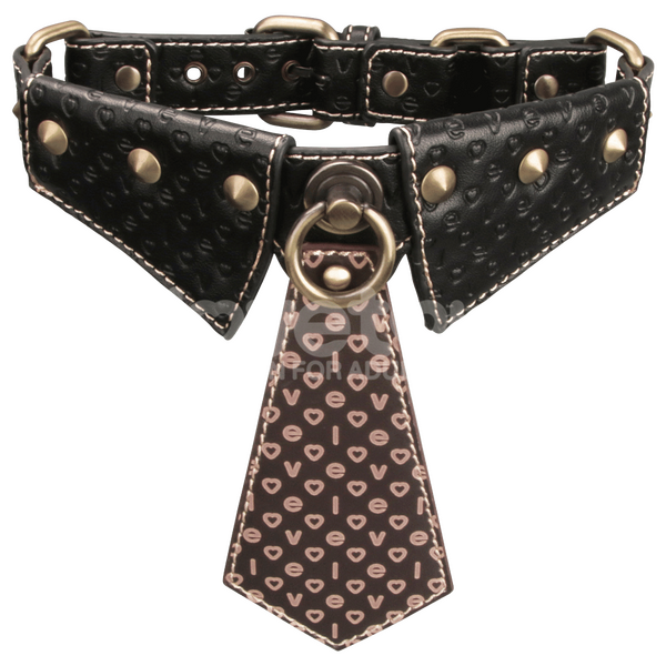 Rebellion Reign Collar with Leash – Luxury PU Leather Bondage Accessory > Bondage Gear > Collars & Leashes