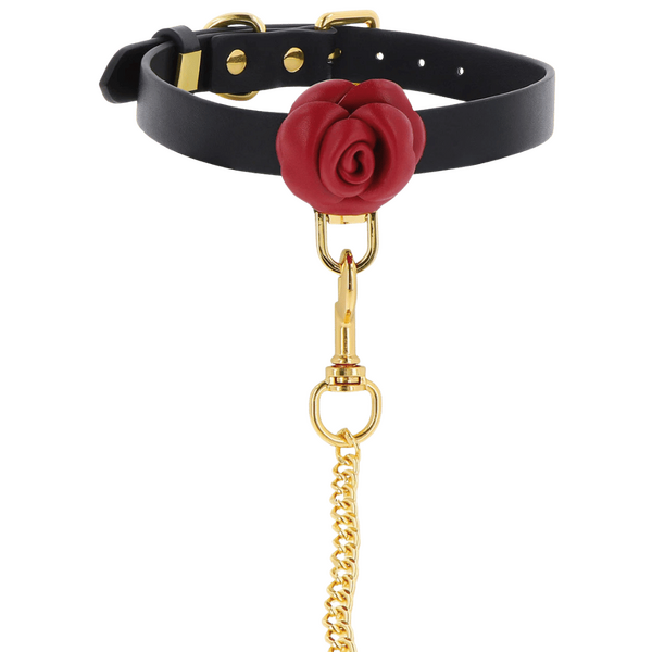 Taboom Wild Roses Collar and Leash – Faux Leather BDSM Accessories > Bondage Gear > Collars & Leashes