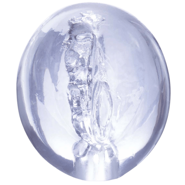 Pocket Jelly Masturbator – 3.5 Inch Soft Flexible Masturbator > Sex Toys For Men > Masturbators Cup