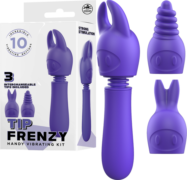 Tip Frenzy – Rechargeable Splash Proof Flexible Shaft Vibrator with 10 Rhythms Purple > Vibrators > Mini Vibrators