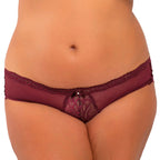 Dive Deep Open Back Panty in Burgundy > Clothes > Panties