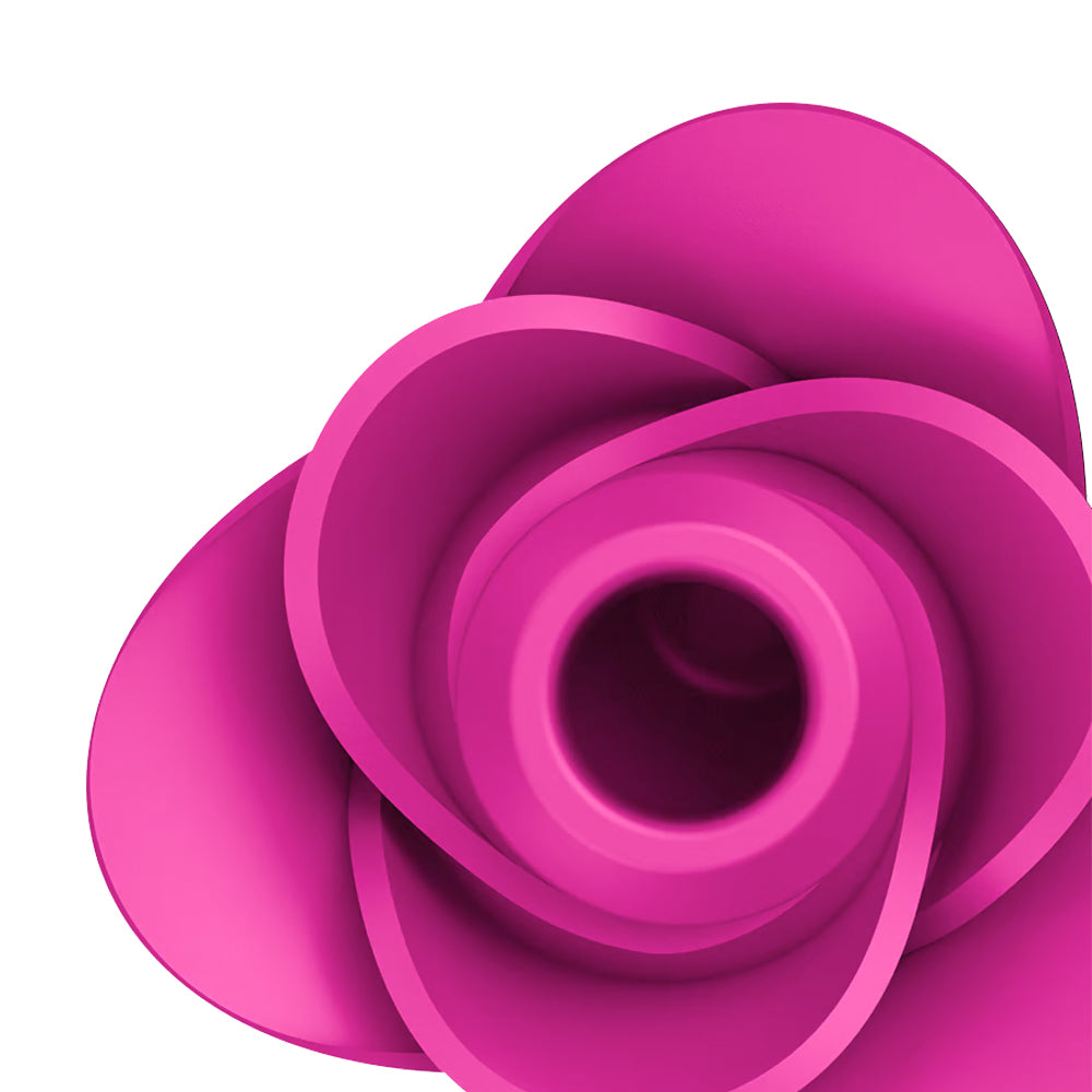 Satisfyer Pro 2 Modern Blossom – Air Pulse Rose Stimulator Vibrator > Sex Toys For Ladies > Rose Stimulators