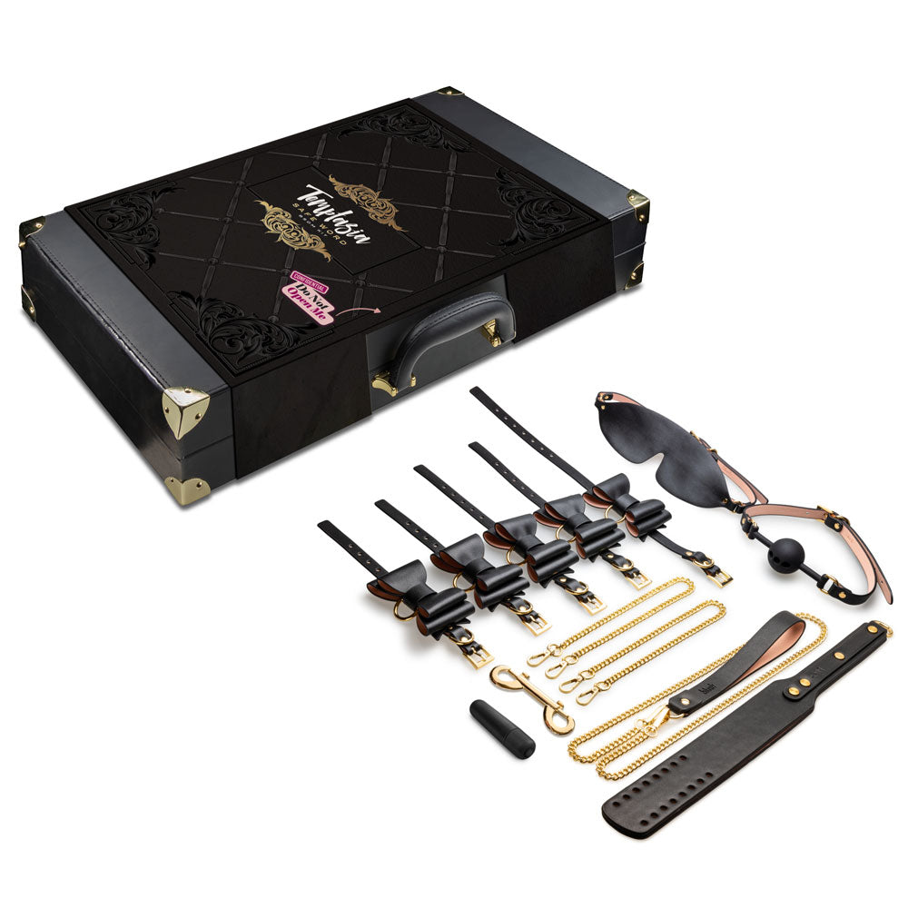 Temptasia Safe Word Bondage Kit with Suitcase > Bondage Gear > Bondage Kits
