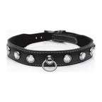 Bling Vixen Leather Choker with Clear Rhinestones > Clothes > Unisex Leather