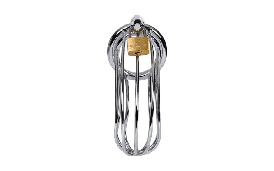 Silver Metal Birdcage Cock Cage Chastity Device Secondary image