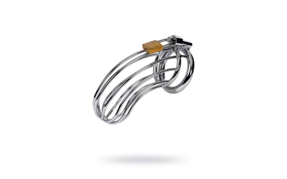 Silver Metal Birdcage Cock Cage Chastity Device > Bondage Gear > Male Chastity Main image