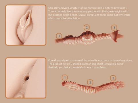 Real Hip Hera 1:1 Ultra Realistic Hip For Ultimate Pleasure Strokers - Onahole